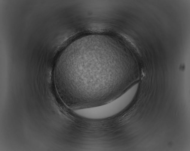 X0000089660596200707191650