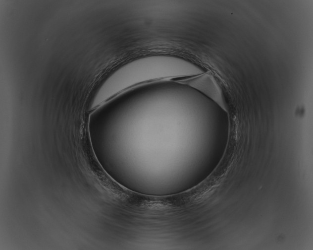 X0000089660597200707191650