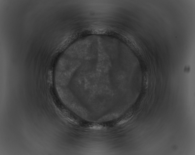 X0000089660598200707191650