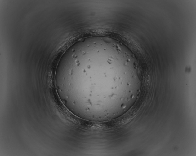 X0000089660599200707191650