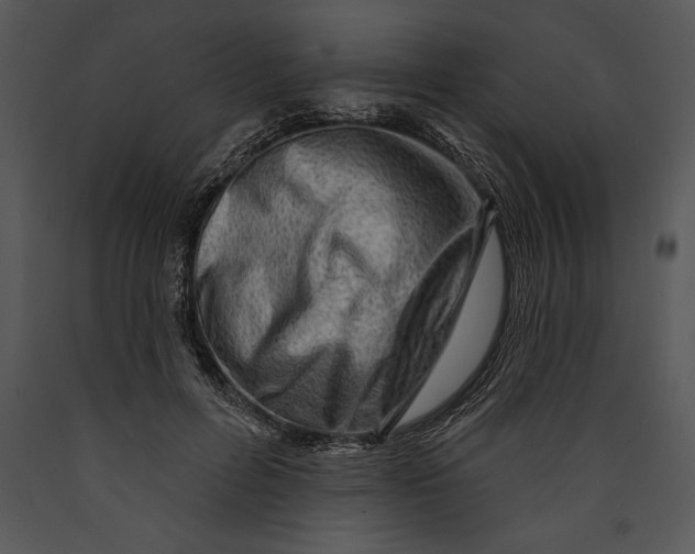 X0000089660600200707191650
