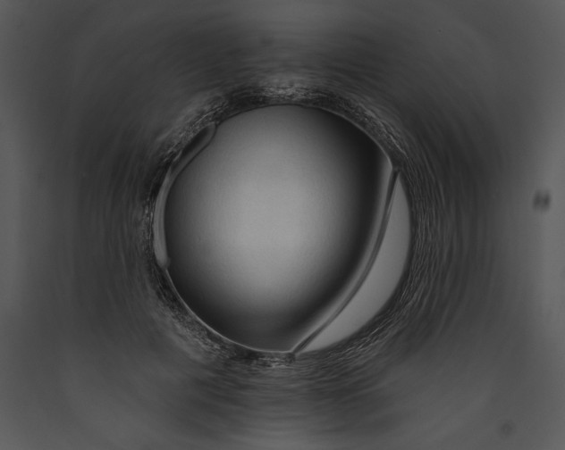 X0000089660601200707191650