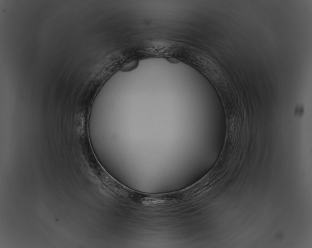 X0000089660602200707191650