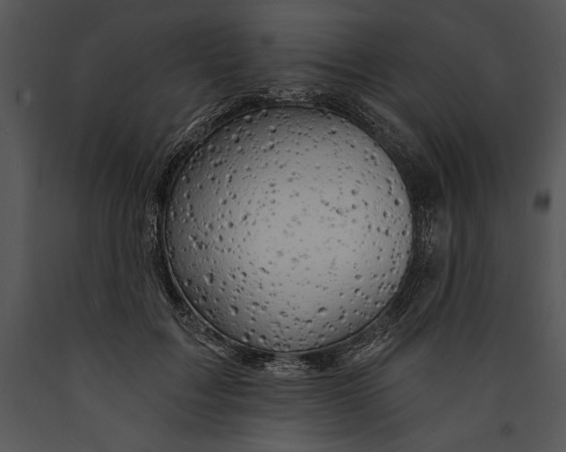 X0000089660603200707191650