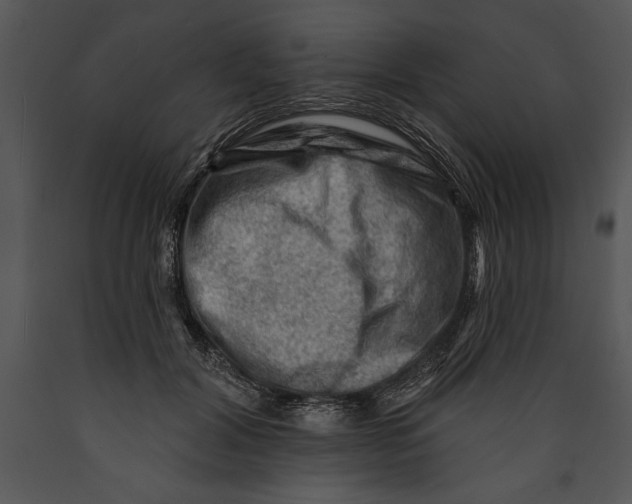 X0000089660604200707191650