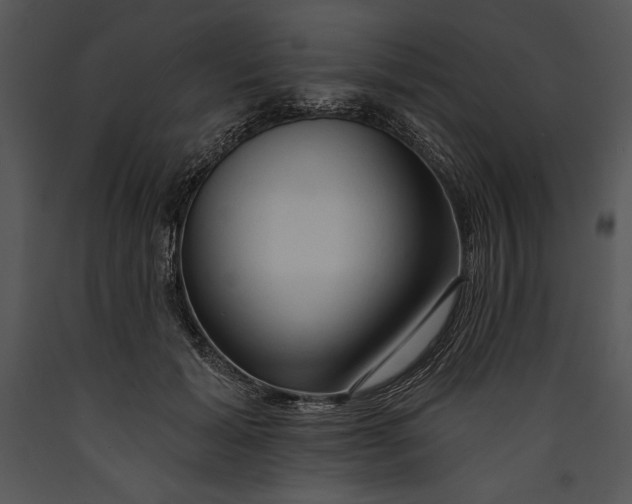 X0000089660605200707191650