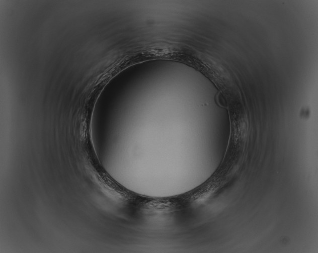 X0000089660606200707191650