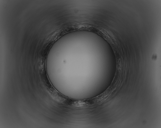 X0000089660607200707191650