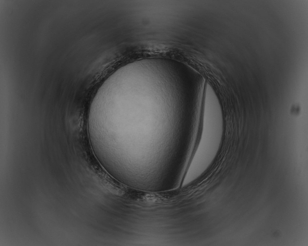 X0000089660608200707191650