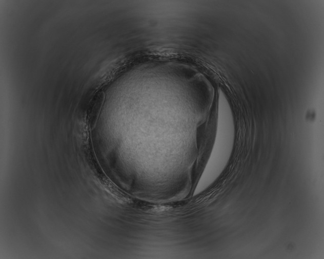 X0000089660609200707191650