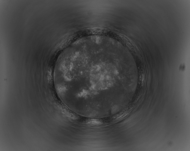 X0000089660610200707191650