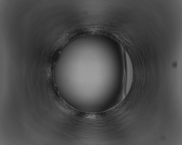 X0000089660611200707191650