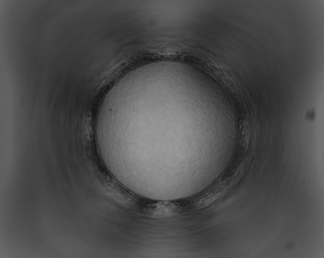 X0000089660612200707191650