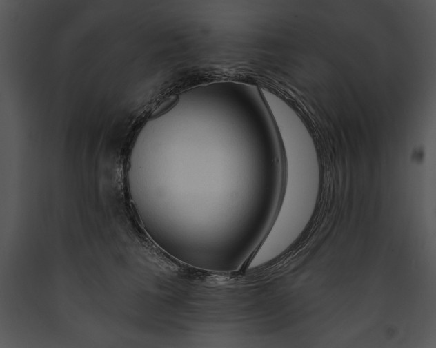 X0000089660613200707191650