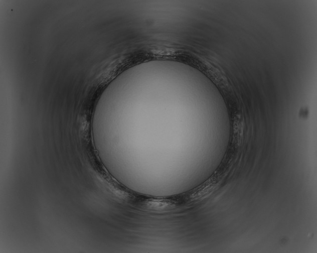 X0000089660614200707191650