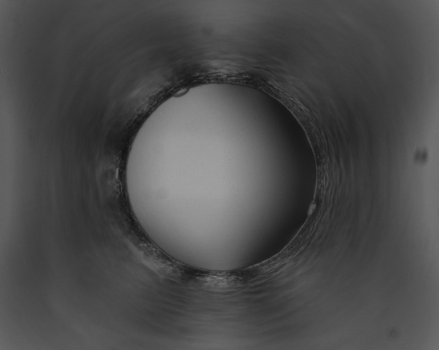 X0000089660615200707191650