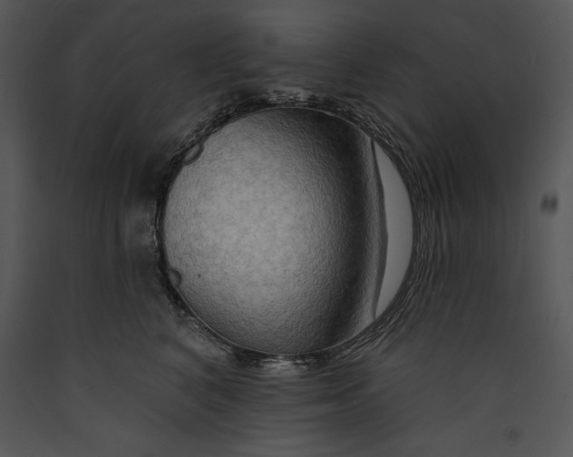 X0000089660616200707191650