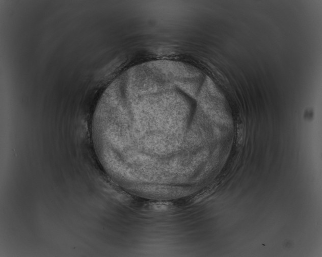 X0000089660618200707191650
