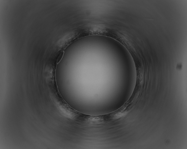 X0000089660619200707191650