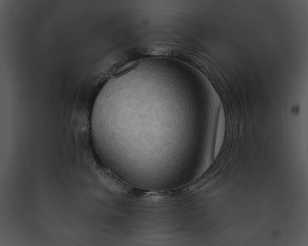 X0000089660620200707191650