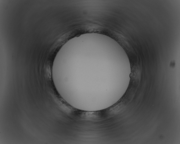 X0000089660622200707191650