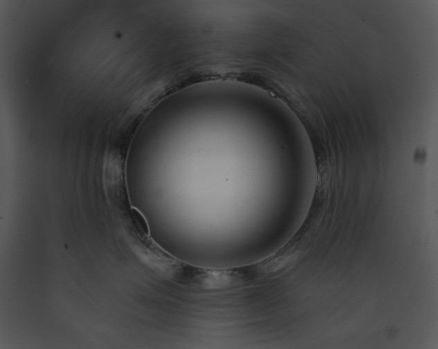X0000089660623200707191650