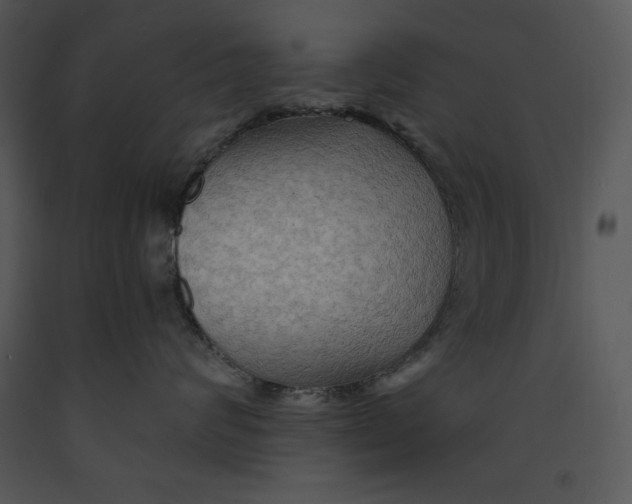 X0000089660624200707191650