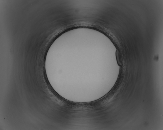 X0000089660625200707191649