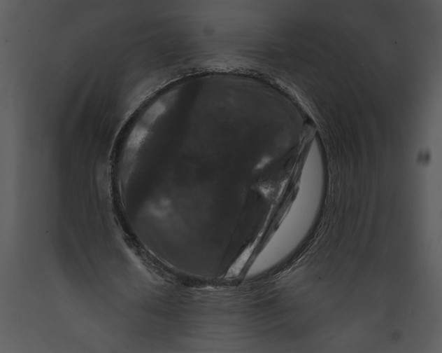 X0000089660626200707191649