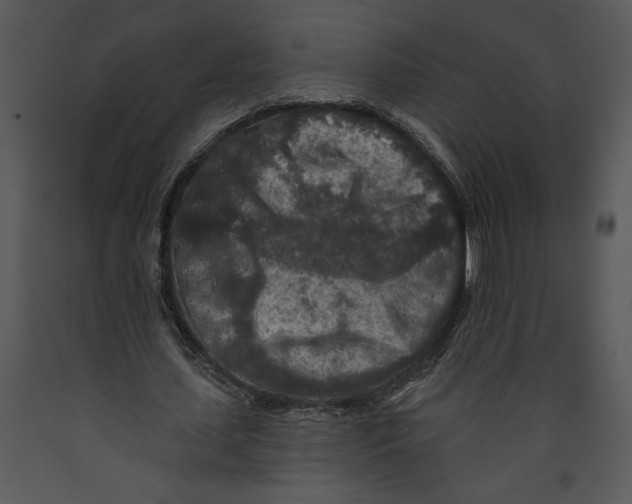 X0000089660627200707191649
