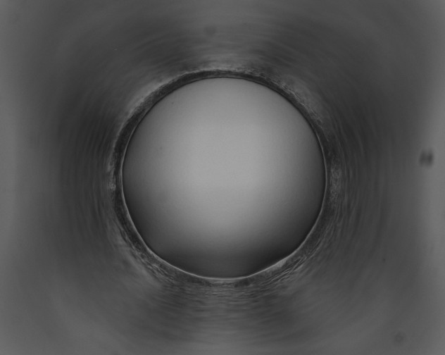X0000089660628200707191649