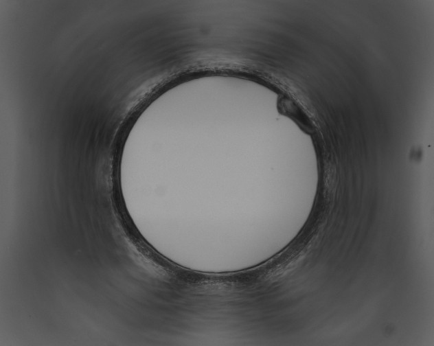 X0000089660629200707191649