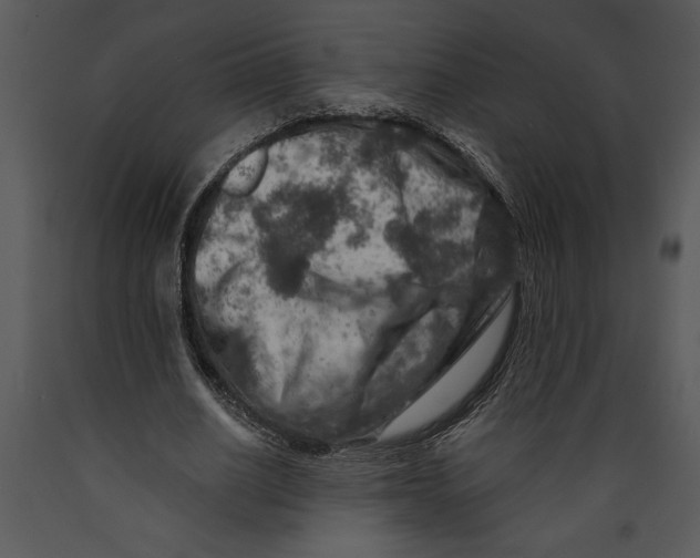 X0000089660630200707191649