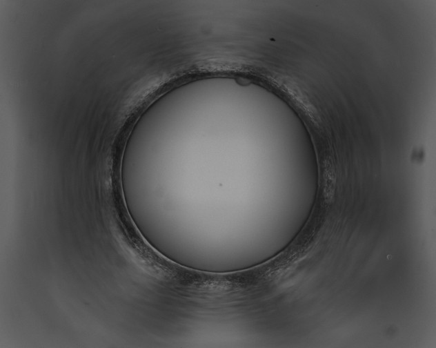 X0000089660631200707191649