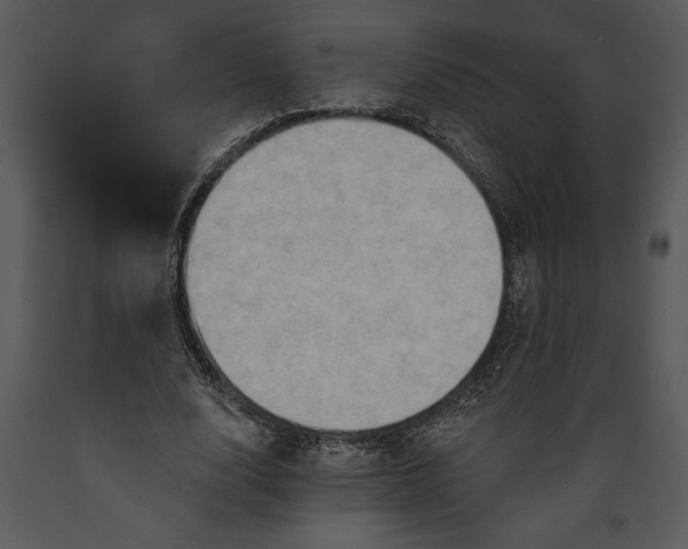 X0000089660632200707191649