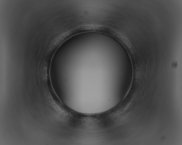 X0000089660633200707191649