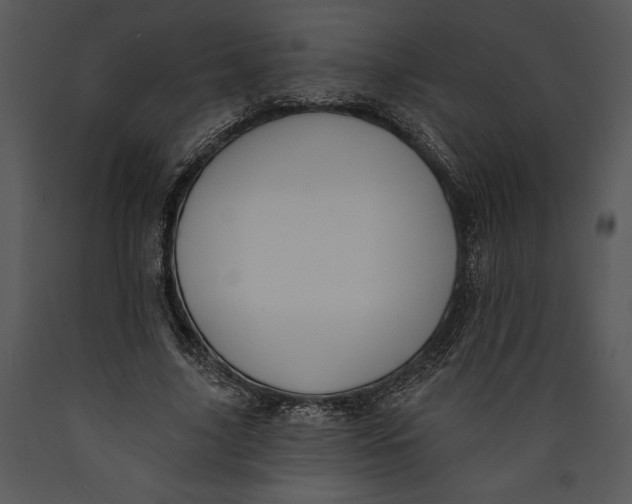 X0000089660635200707191649