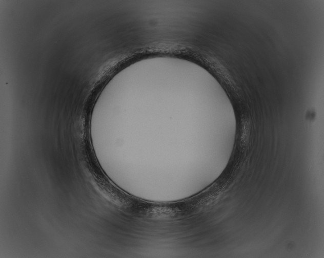 X0000089660636200707191649