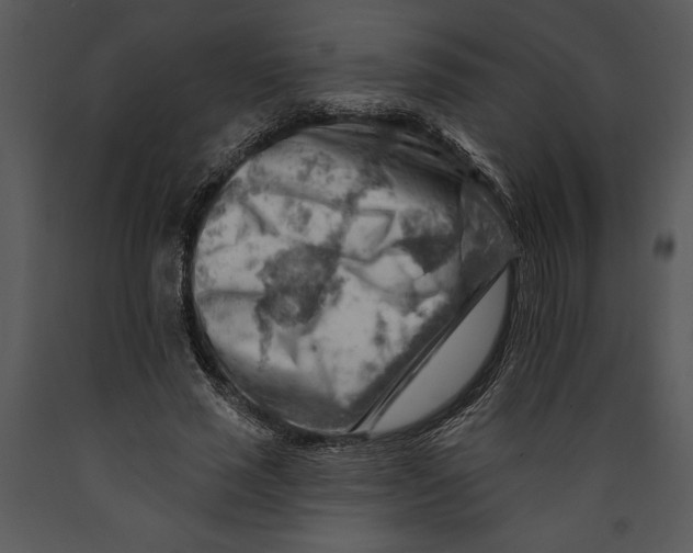 X0000089660637200707191649