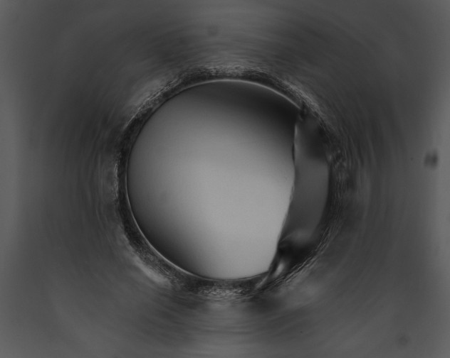 X0000089660638200707191649