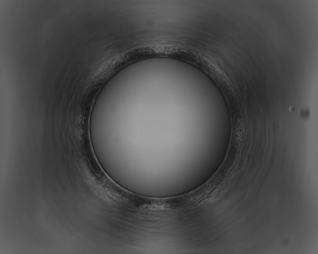 X0000089660639200707191649