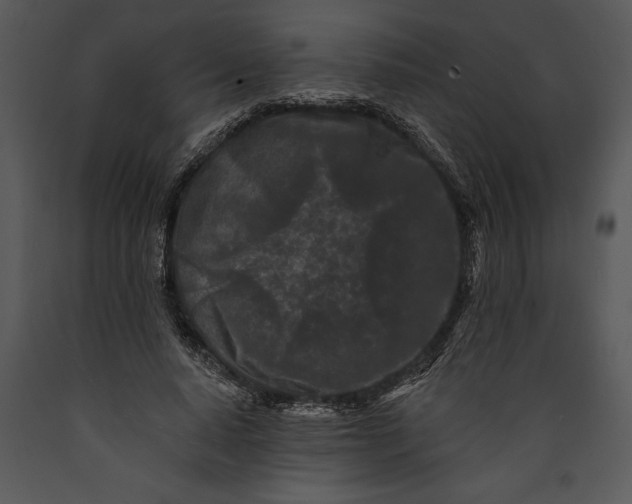 X0000089660640200707191649
