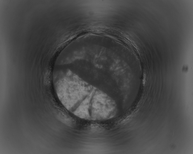 X0000089660641200707191649