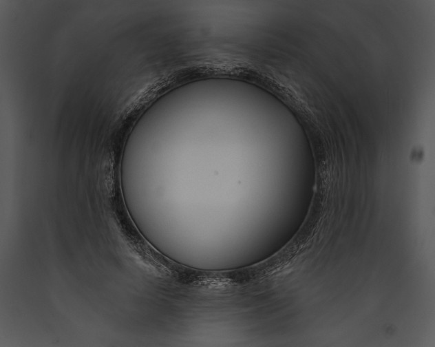 X0000089660642200707191649