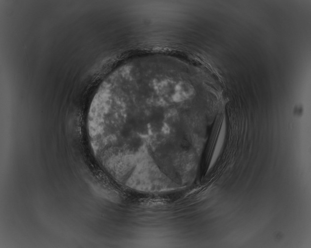 X0000089660643200707191649