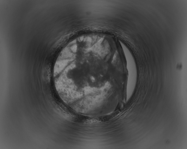 X0000089660644200707191649