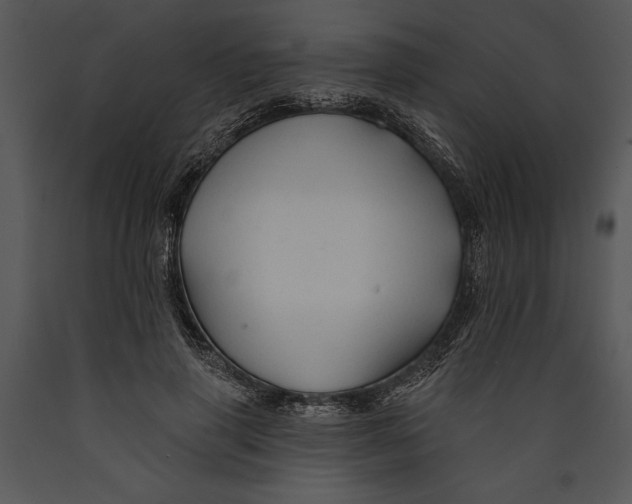 X0000089660645200707191649