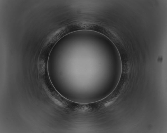 X0000089660646200707191649