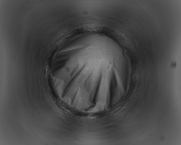 X0000089660647200707191649