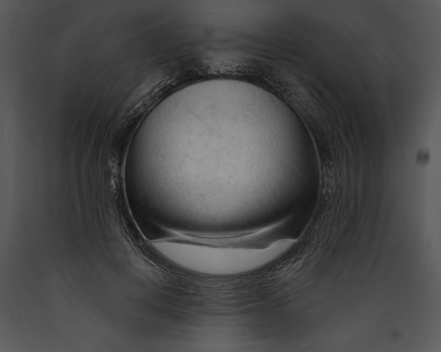 X0000089660648200707191649